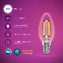 Filament LED Clear 4W C35 WW E27 Bulb - Vintage Style, True Warm White Light