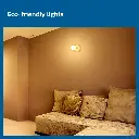 Acebright 14W  Bulb - High Wattage Brilliance, Energy-Efficient 