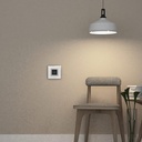 Goldmedal 2 Module I-Touch WiFi 20A Switch - Home Automation, Works with iWorld, Alexa, Google Assistant