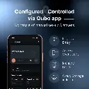 F2.webp