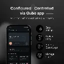 F2.webp